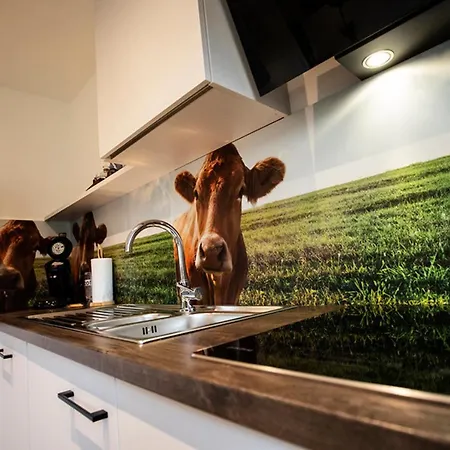 아파트 Q-Stall Apartments, Apartment Q3 브릴온